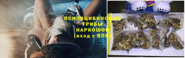 spice Сатка