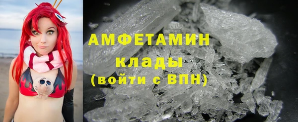 ГАЛЛЮЦИНОГЕННЫЕ ГРИБЫ Семёнов